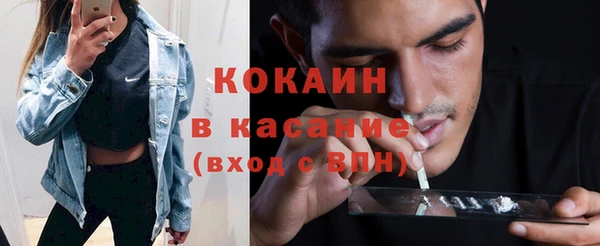 прущий лед Бородино