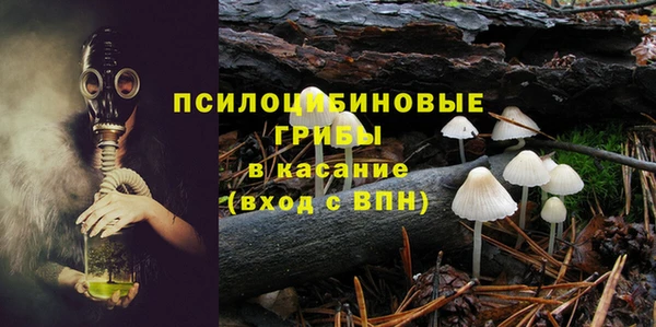 дурь Бугульма