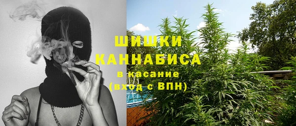 прущий лед Бородино