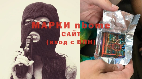 прущий лед Бородино