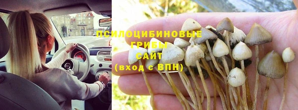 дурь Бугульма