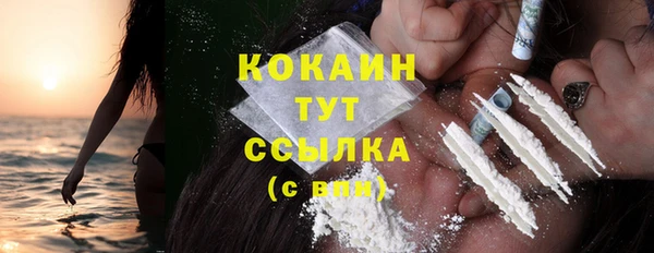 прущий лед Бородино
