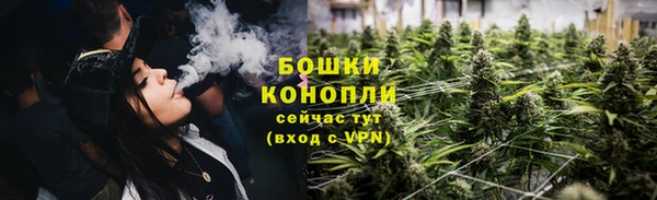 прущий лед Бородино