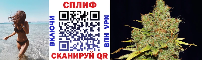 купить наркоту Нестеров Канабис план